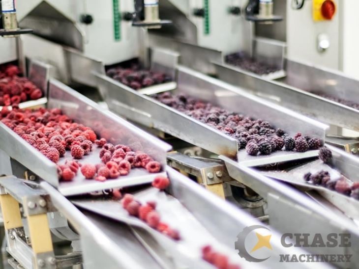 Raspberry Berries Sorting Line