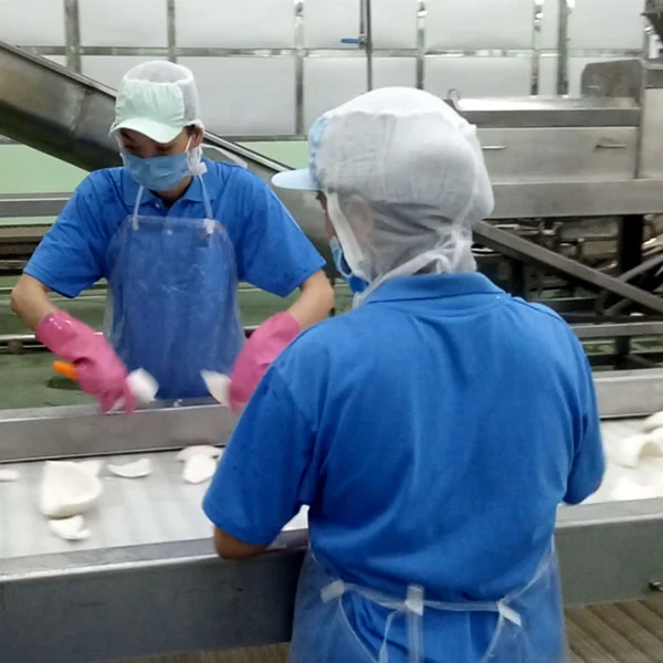 Coconut Processing Machine